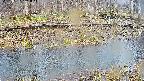 mizubasho7-20250407121043.jpg