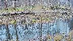 mizubasho7-20250407122043.jpg