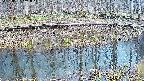 mizubasho7-20250407131044.jpg