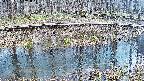 mizubasho7-20250407141046.jpg