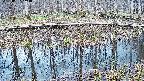mizubasho7-20250407143040.jpg