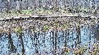 mizubasho7-20250407152043.jpg