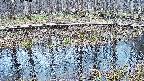 mizubasho7-20250407153042.jpg