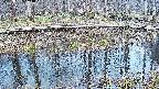 mizubasho7-20250407154043.jpg