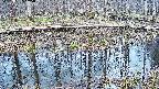mizubasho7-20250407155042.jpg