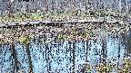 mizubasho7-20250407174044.jpg