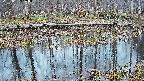 mizubasho7-20250407180043.jpg