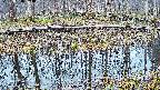 mizubasho7-20250408053043.jpg