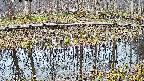 mizubasho7-20250408062045.jpg