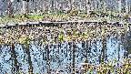 mizubasho7-20250408065048.jpg