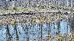mizubasho7-20250408074040.jpg