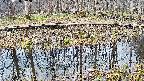 mizubasho7-20250408082042.jpg