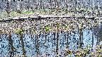 mizubasho7-20250408091044.jpg