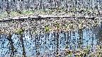 mizubasho7-20250408093044.jpg