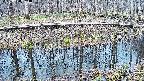 mizubasho7-20250408094043.jpg