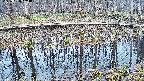 mizubasho7-20250408103045.jpg