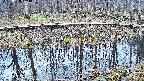 mizubasho7-20250408104041.jpg