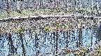 mizubasho7-20250408105044.jpg