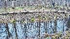 mizubasho7-20250408111044.jpg