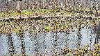 mizubasho7-20250408134040.jpg