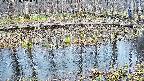mizubasho7-20250408141046.jpg