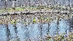 mizubasho7-20250408142041.jpg