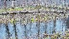mizubasho7-20250408145042.jpg