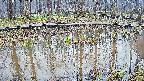 mizubasho7-20250409053040.jpg