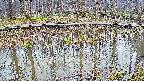 mizubasho7-20250409055044.jpg