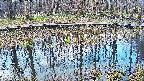 mizubasho7-20250409065041.jpg