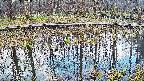 mizubasho7-20250409070044.jpg