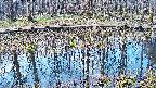 mizubasho7-20250409074042.jpg