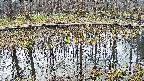 mizubasho7-20250409081044.jpg