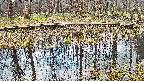mizubasho7-20250409083041.jpg
