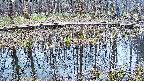 mizubasho7-20250409092045.jpg
