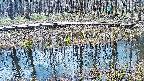 mizubasho7-20250409094042.jpg