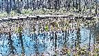 mizubasho7-20250409100042.jpg