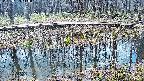 mizubasho7-20250409110041.jpg