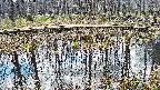 mizubasho7-20250409111043.jpg