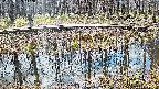 mizubasho7-20250409112045.jpg