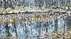 mizubasho7-20250409120043.jpg