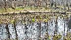 mizubasho7-20250409124045.jpg