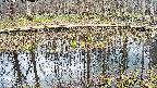 mizubasho7-20250409130043.jpg