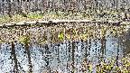 mizubasho7-20250409132044.jpg