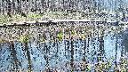 mizubasho7-20250409133040.jpg