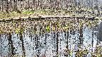 mizubasho7-20250409142042.jpg