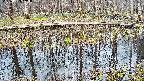 mizubasho7-20250409144042.jpg
