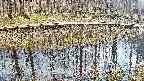 mizubasho7-20250409151042.jpg