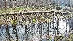 mizubasho7-20250409152043.jpg