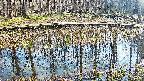 mizubasho7-20250409153041.jpg